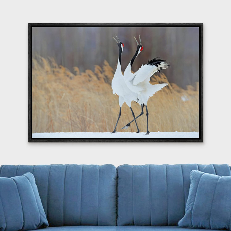 Crane héron, oiseau, hiver, campagne, couronne rouge, oiseau, photographie, encadrée, Structure noire