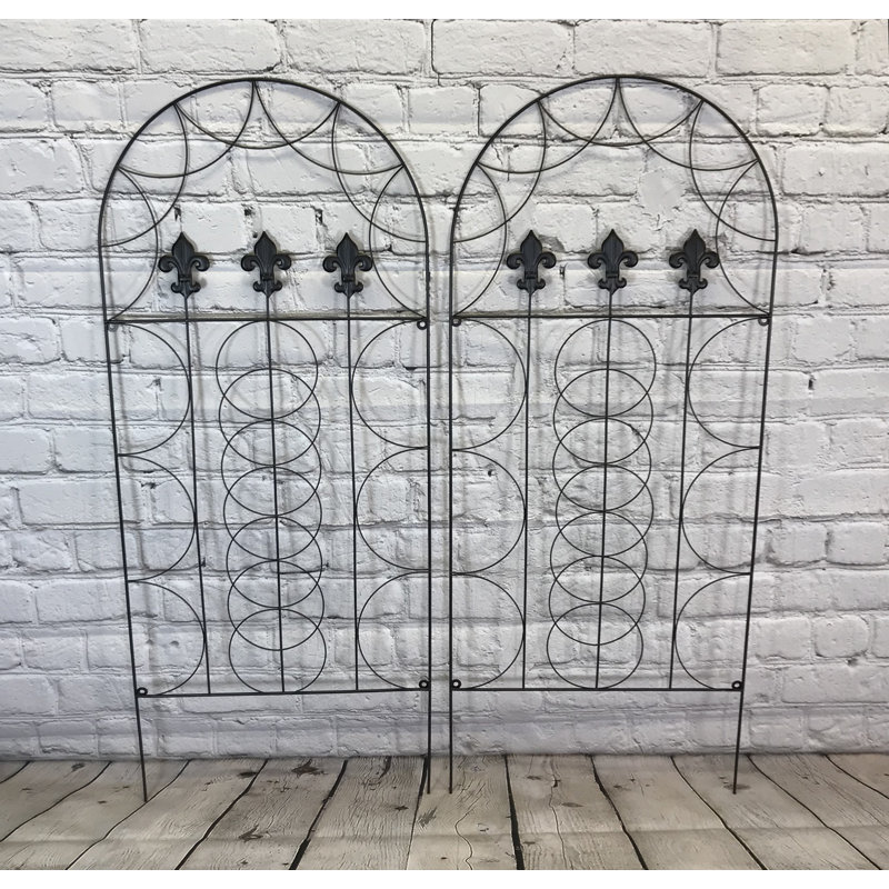 Mozingo 120cm H x 50cm W Metal Arched Trellis