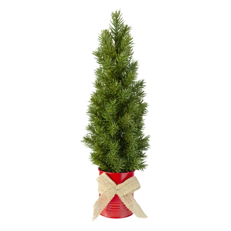 Northlight 17-Inch Mini Tabletop Christmas Tree With Red Metal Base And ...
