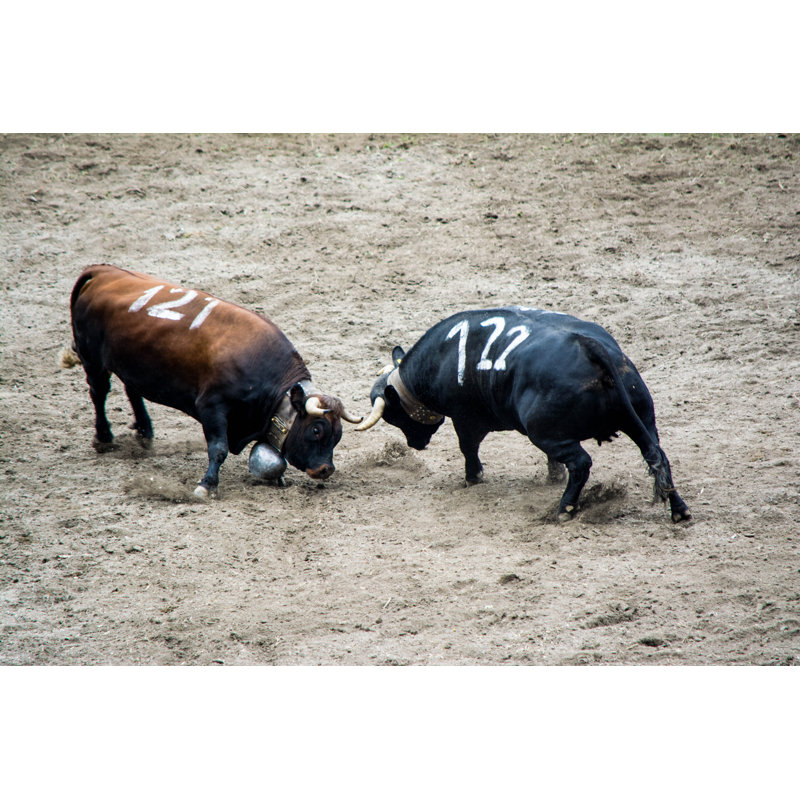 Wisbech Battle Of The Queens - Wrapped Canvas Print, 30cm H x 46cm W x 3.8cm D