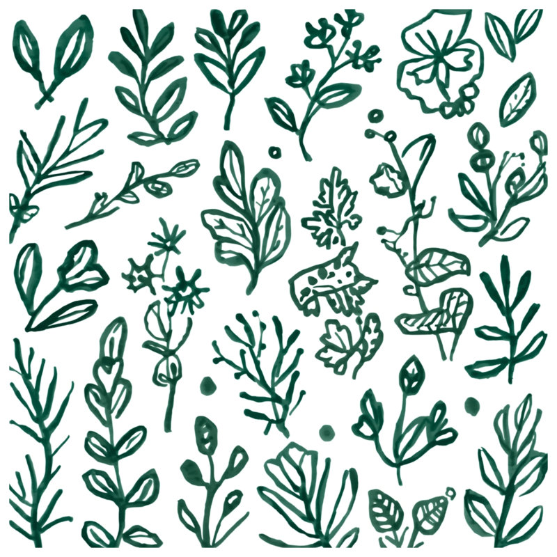 Rideaux de douche Green Botanical Illustration, 70 po l x 72 po H