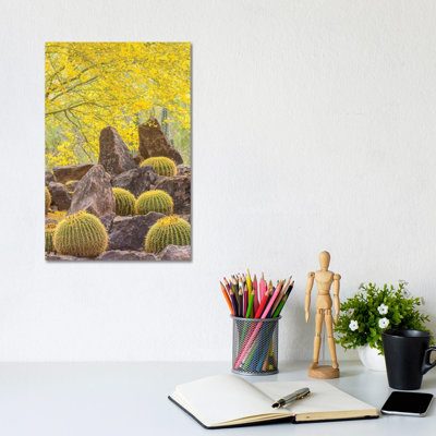 USA, Arizona, Desert Botanic Garden. Cactus garden and rocks. 1 Piece Wrapped Canvas Wall Art