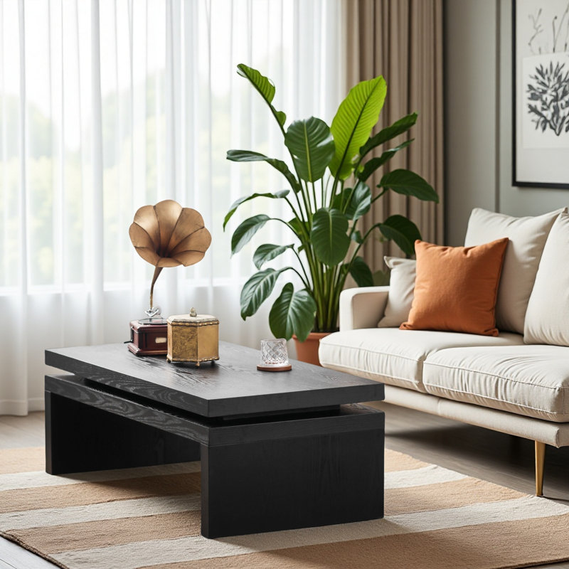 Table basse moderne en bois rustique moderne avec centre flottant, Noir, Noir