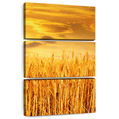 Alvord Sunset Wheat Field