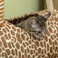 Kaylin 101cm H Cat Tree