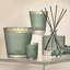 Wild Mint & Eucalyptus Votive Candle-1828798560