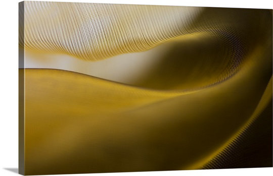 «Fields of Gold» de Straub - impression d'art graphique, H 24 po x l 36 po x P 1,25 po, Toile