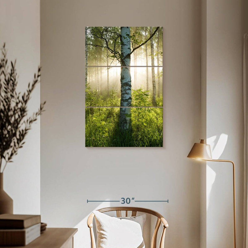 Harnek Sunlit Birch Tree, 57" H x 36" W