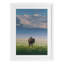 «Sunlight over Lone Bison», reproduction sous verre encadrée, conception par Annie Bailey Art-849687405-849687406