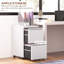 Danby 37 cm W 2 -Drawer Steel Filing Cabinet