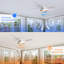 Ceiling Fan with LED Lights