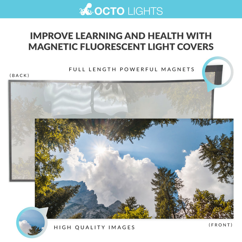 Arbre - Couvercle de lampe fluorescente magnétique pour plafonniers de classe - 2 x 4 - par Octo Lights