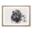 A Silverback Gorilla Watercolour - Single Picture Frame Print on MDF-56740827-56740829
