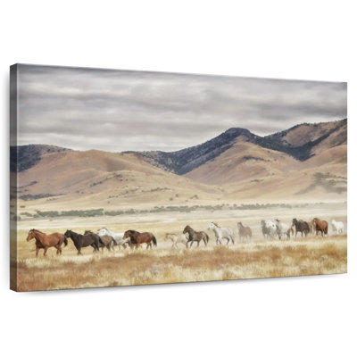 Alvord Horse Run II
