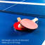 Ensemble de tennis de table portatif