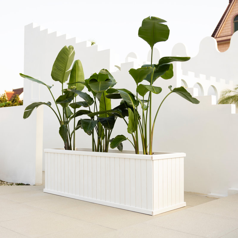 Boîte à fleurs rectangulaire en cèdre massif avec trous de drainage Barros, Blanc, H 22,5 po x l 72 po x P 22,5 po