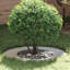 Tree Ring Decorative Garden Modern Protector Outdoor Ornament Base Home-496734215