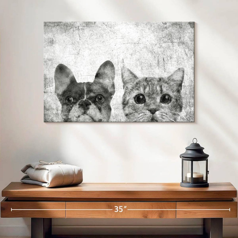 Brampt animaux de compagnie noir et blanc, H 16 po x l 24 po
