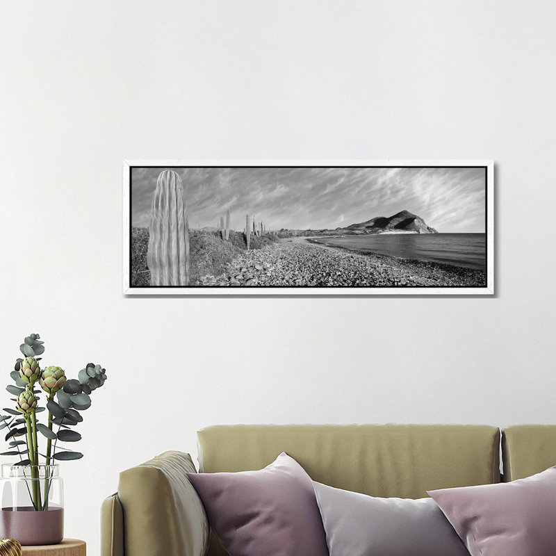 Cardon Cactus Lines The Rim Of A Small Inlet, Sea Of Cortez, Mulege, Baja California Sur, Mexico 1 Piece Panoramic Wall Art on Canvas