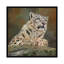 « snow leopard on rock », impression sur toile-72416434-72416433-33109853
