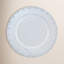 Dinner Plate 11"-1766889002