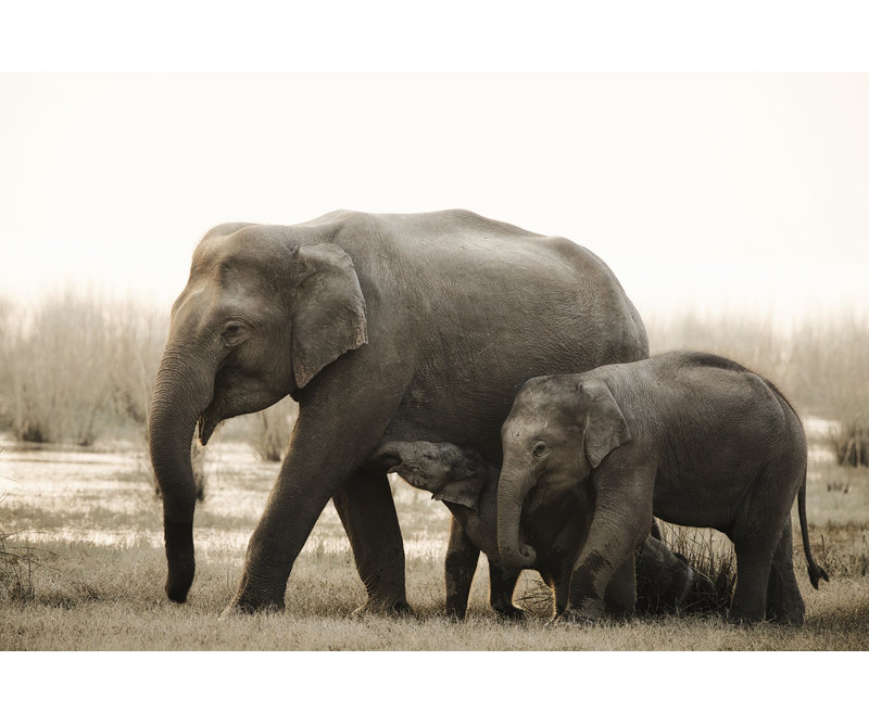 Wrapped Canvas Print, 50.8 cm H x 76.2 cm W