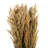 Zellmer 36'' H Preserved Plume Reed Bundle-1314828999