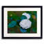 White Camellia Print by Tom Kostes