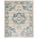Truesdell Vintage Persian Performance Oriental Rug