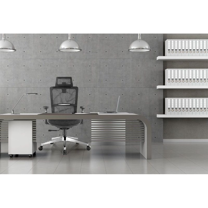Fauteuil de bureau ergonomique Casson Mesh, Noir