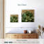 Harnek Succulent I