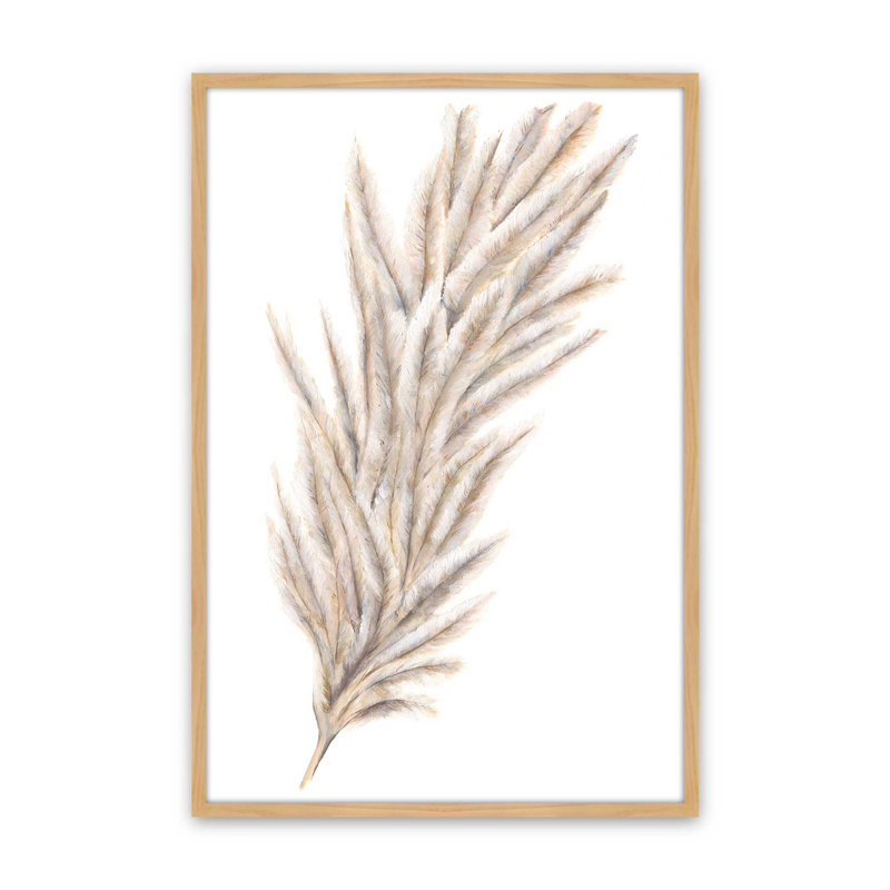 Reproduction d'art «Pale Pampas Study» par Dollybirds, H 13,25 po x l 9,25 po, Érable américain, reproduction encadrée