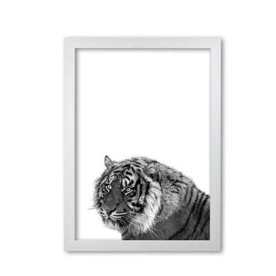 Tiger - Print