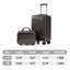 14 "/ 20" 2 pièces / ensemble en valise à roulettes ABS