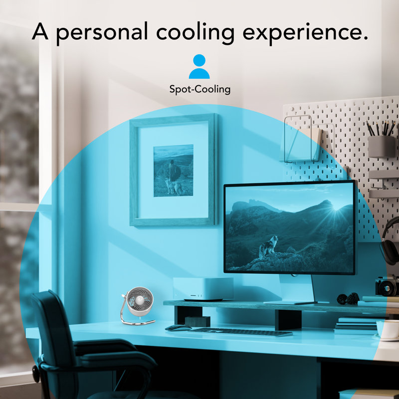 Pivot Personal Air Circulator Fan, Ice Gray