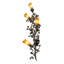 4 - Light Flush Mounted Sconce