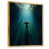 Gold Floater Framed