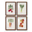 Organic Veg I - impression de 4 pièces-582267449-582267332