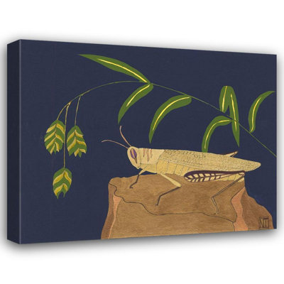 Red Barrel Studio® Tenser, Nina Gallery Wrapped Canvas Art Titled: Ornamental Grasshopper II