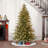 Lighted Christmas Tree-1435561428