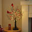Holiday Lighting