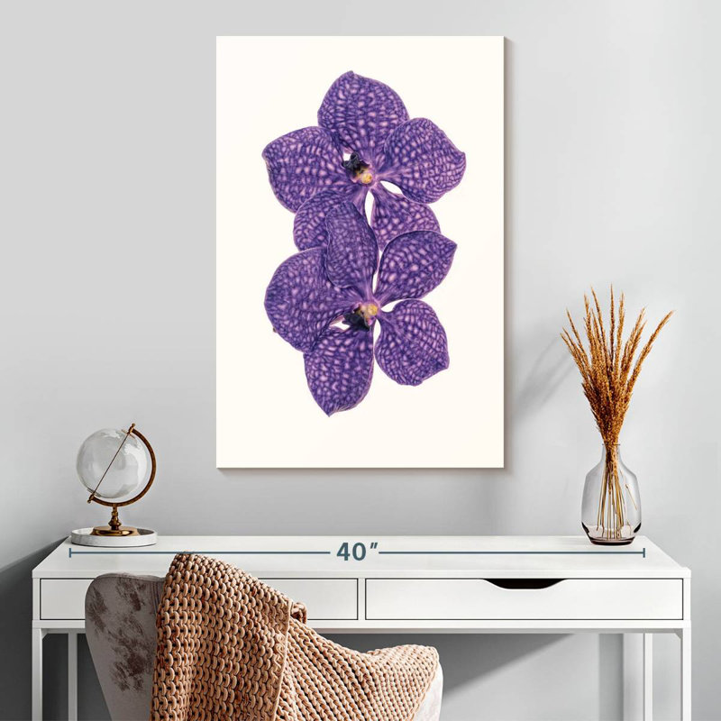 Harnek Curious Collections Flower VI, H 30 po x l 20 po