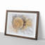 The Beauty of the Flower in Abstract - Picture Frame Drawing Print-55735932-55735936