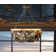 Luminaire suspendu 8 lumières avec agate de rivière multicolore Metropolitan Flotsam