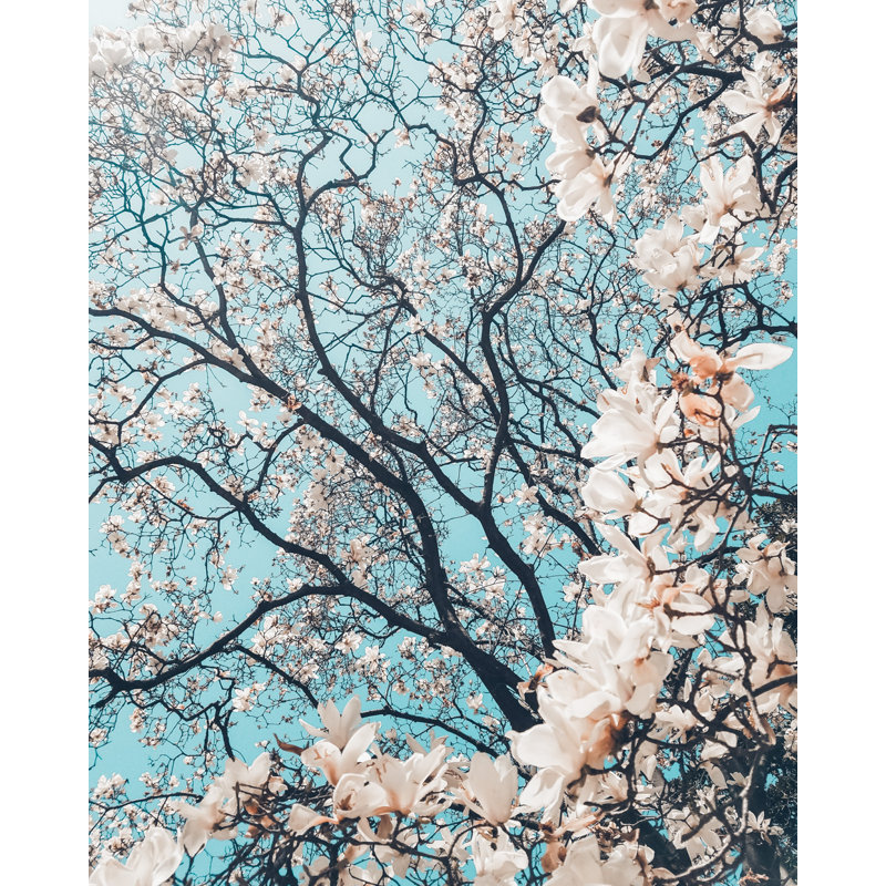 Cerisier en fleurs, ciel bleu, rose, clair, aérien, joyeux, H 24 po x l 16 po x P 1,5 po