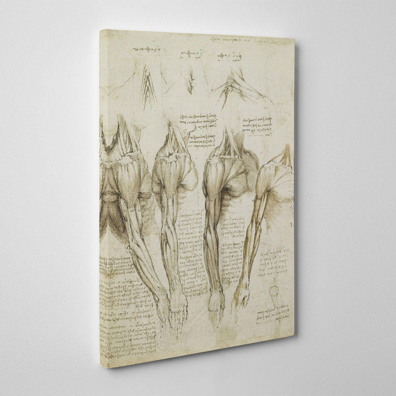 Leonardo Da Vinci - Wrapped Canvas, 76cm H x 50cm W