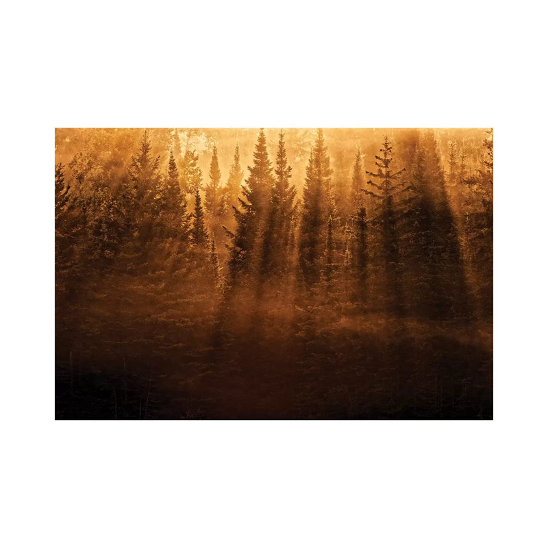 Canada, Ontario, Kenora by Jaynes Gallery - Wrapped Canvas Print, 20.32cm H x 30.48cm W x 1.905cm D
