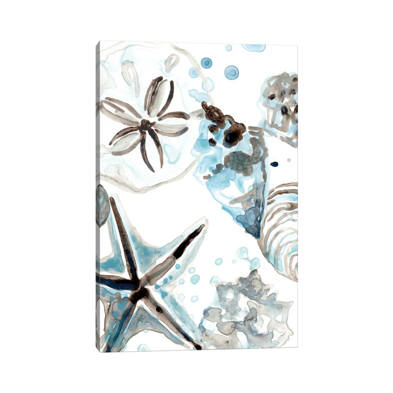 Cerulean Seashells IV by June Erica Vess - Wrapped Canvas Painting, 20.32 cm H x 30.48 cm W