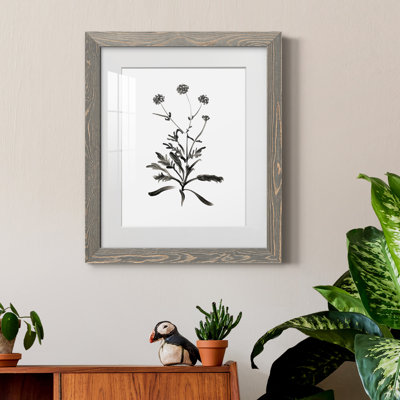 Inky Botanical I - peinture encadrée