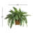 23'' Faux Fern Plant in Wicker/Rattan Pot